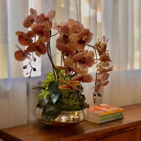 Pousada Jardins Santarém 외부 사진