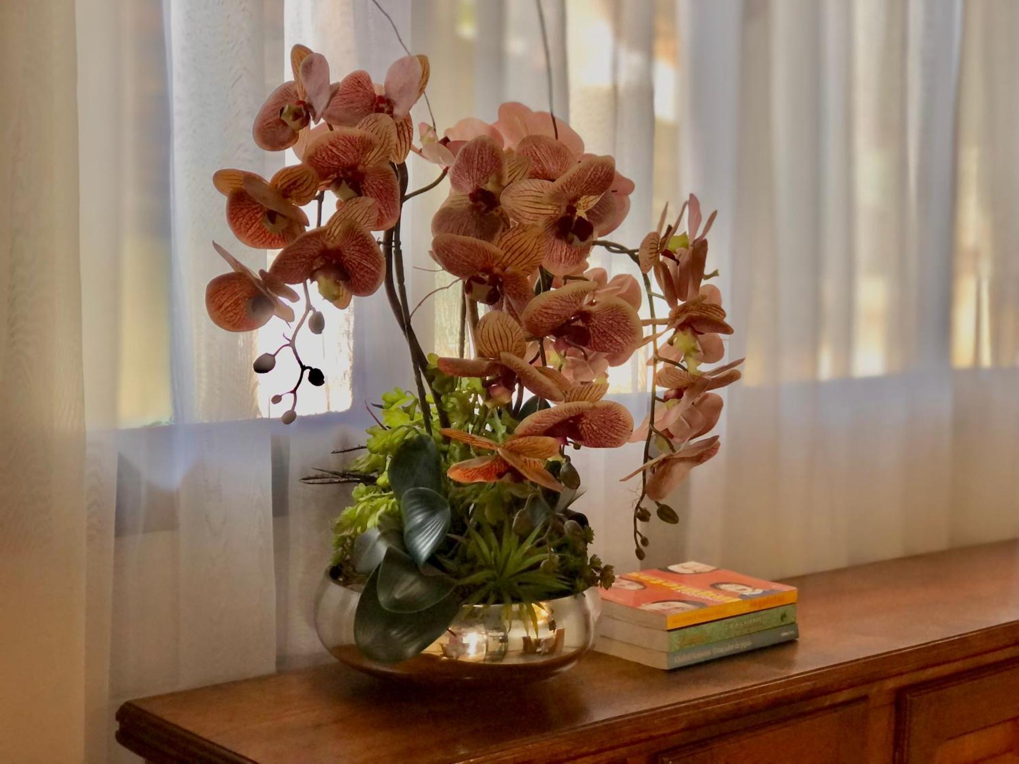 Pousada Jardins Santarém 외부 사진